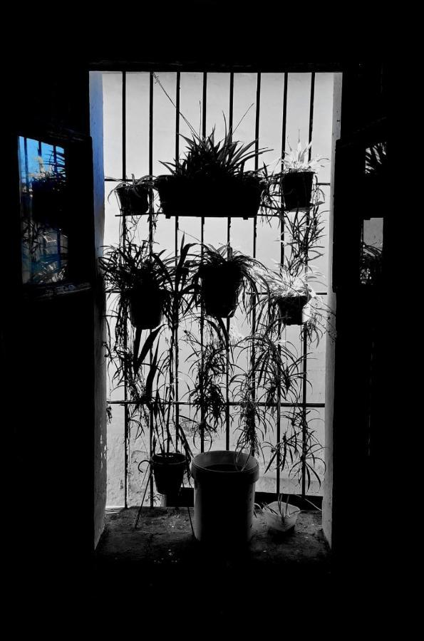 Posada Matadero Cortelazor 외부 사진